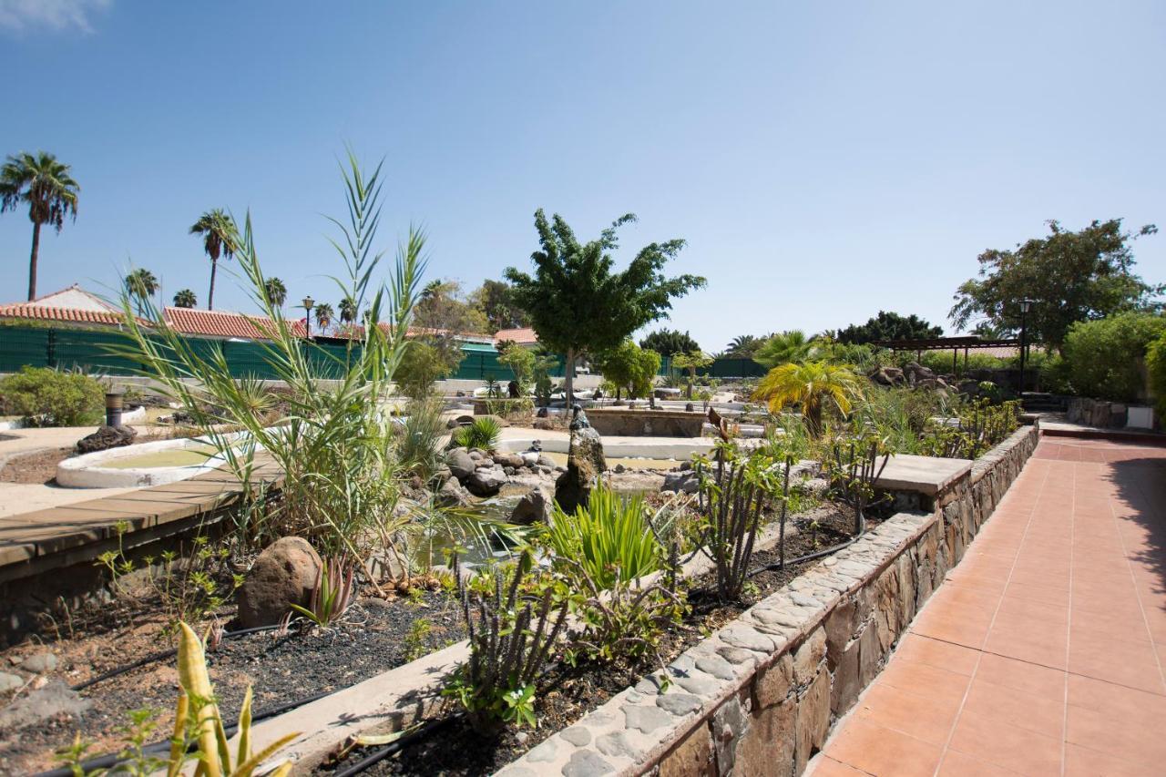 Serenity Garden Maspalomas  Zewnętrze zdjęcie