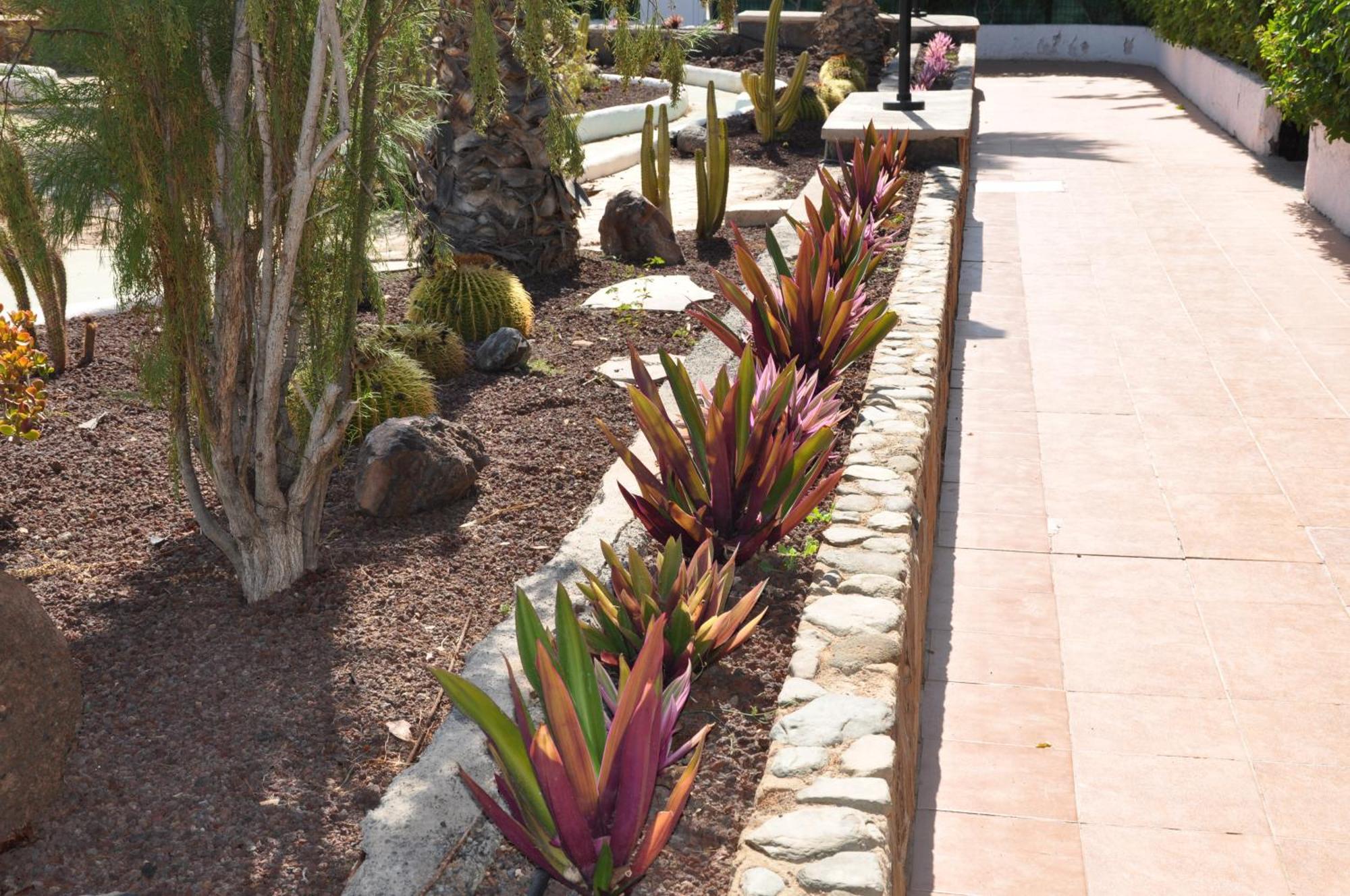 Serenity Garden Maspalomas  Zewnętrze zdjęcie