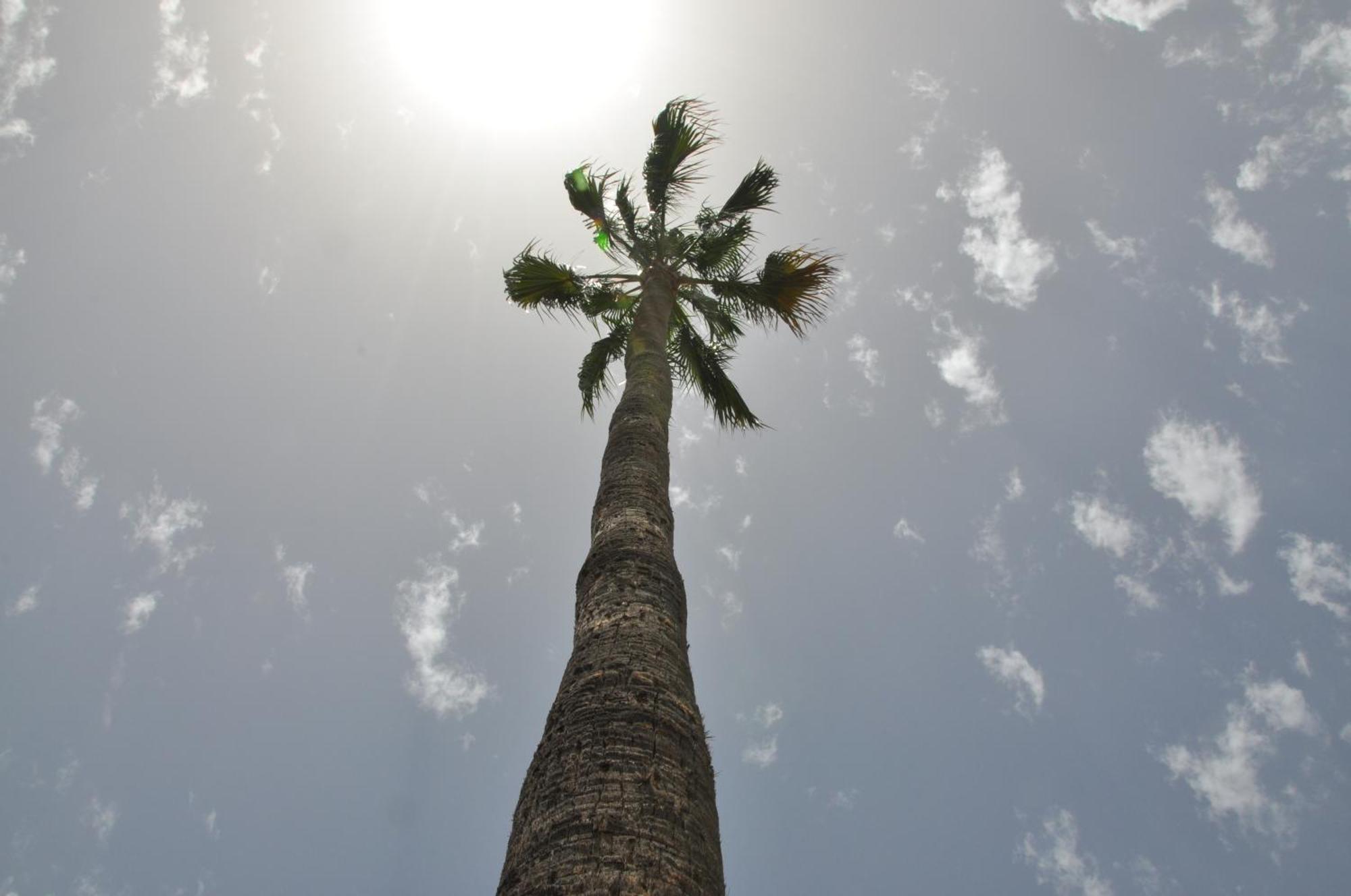 Serenity Garden Maspalomas  Zewnętrze zdjęcie