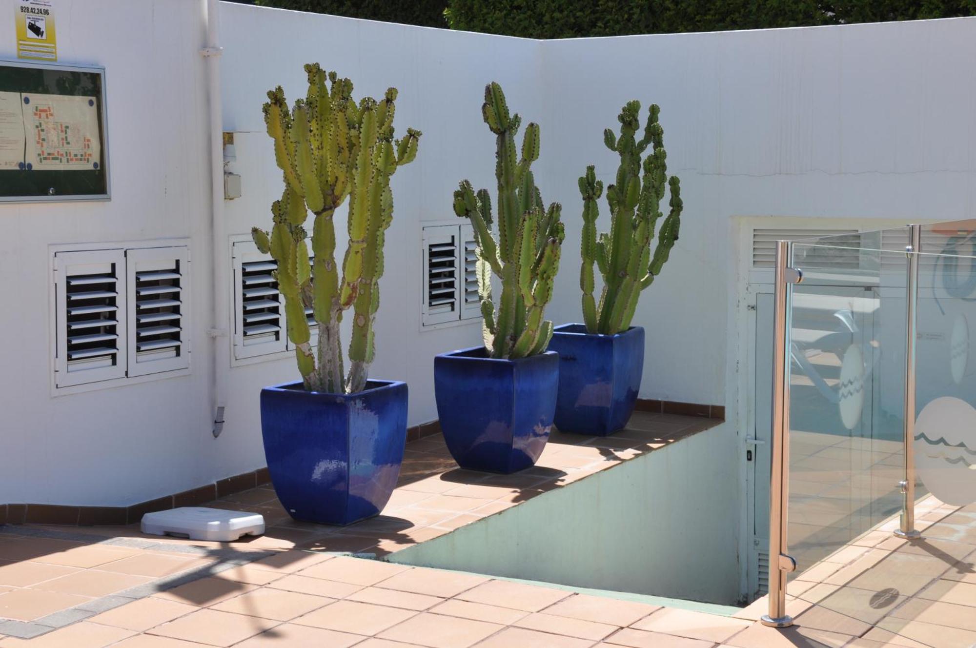 Serenity Garden Maspalomas  Zewnętrze zdjęcie