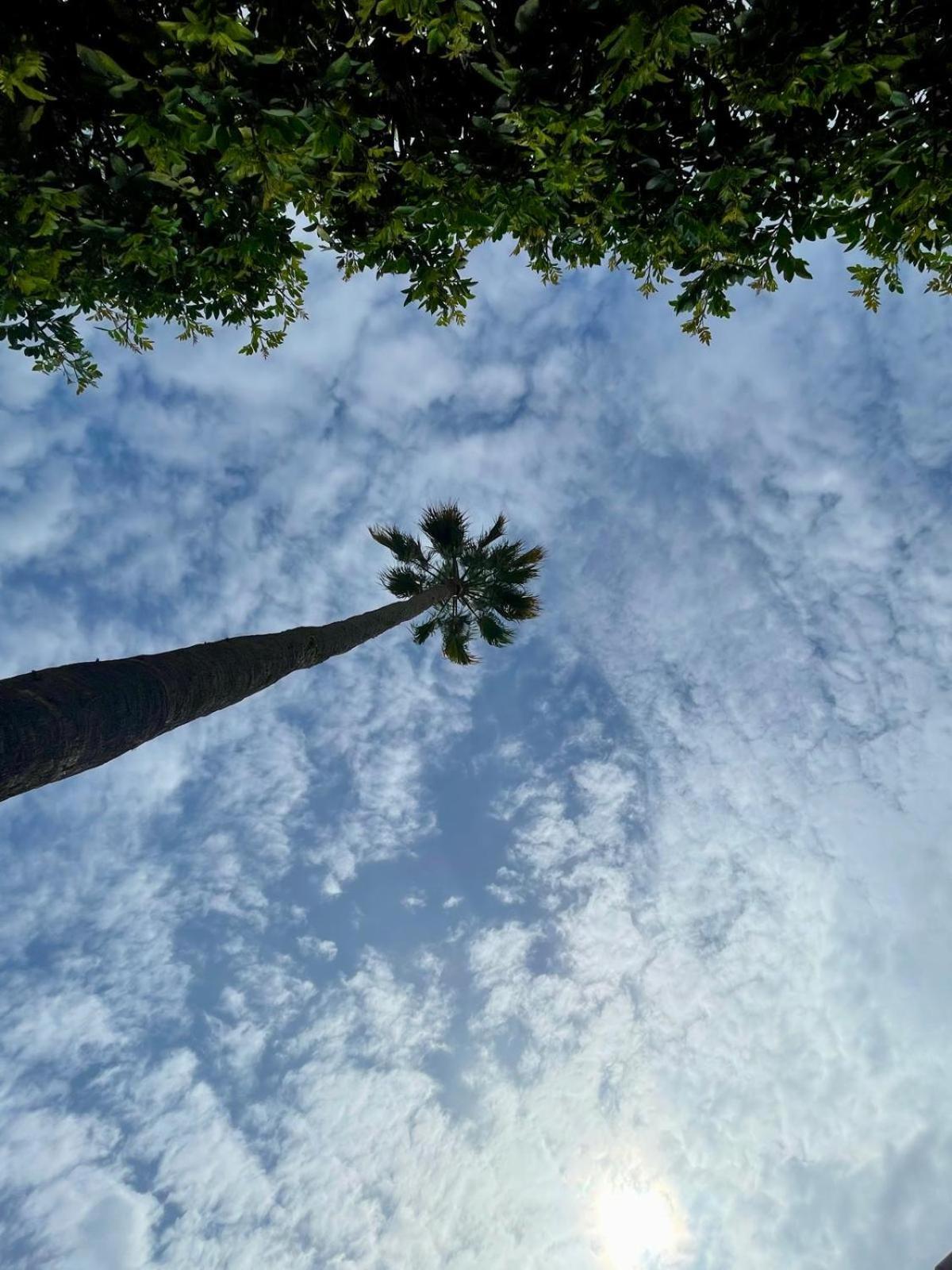 Serenity Garden Maspalomas  Zewnętrze zdjęcie